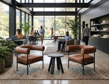 Harlow Occasional Chair | Nufurn Commercial Furniture 