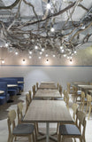 Restaurant : Jensens Restaurant