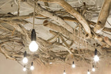 Restaurant : Jensens Restaurant