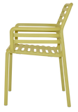 Arm Chair Doga | Buy Online