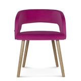 fameg bentwood chair  b-1523