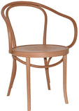 Nufurn Fameg Paged Meble Genuine Bentwood Arm Chair for Restaurant & Cafe Seating Commercial Furniture Dining Chairs - Princess Arm Chair
