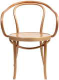 Nufurn Fameg Paged Meble Genuine Bentwood Arm Chair for Restaurant & Cafe Seating Commercial Furniture Dining Chairs - Princess Arm Chair