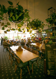 Club: Gosford RSL