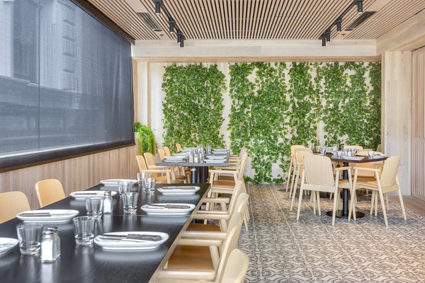 Restaurant : Hurricane's Grill Circular Quay