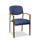 healthcare chair - platinum comfort 2