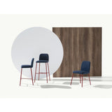 dining chair - myra