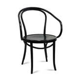 Nufurn Fameg Paged Meble Genuine Bentwood Arm Chair for Restaurant & Cafe Seating Commercial Furniture Dining Chairs - Princess Arm Chair